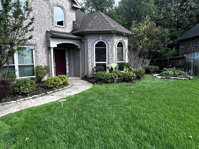 Clean, professionally mowed front lawn with landscaped entry walk
